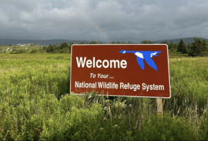 A welcome sign at Canaan Valley National Wildlife Refuge